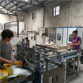 衛生紙壓扁裝袋封口機